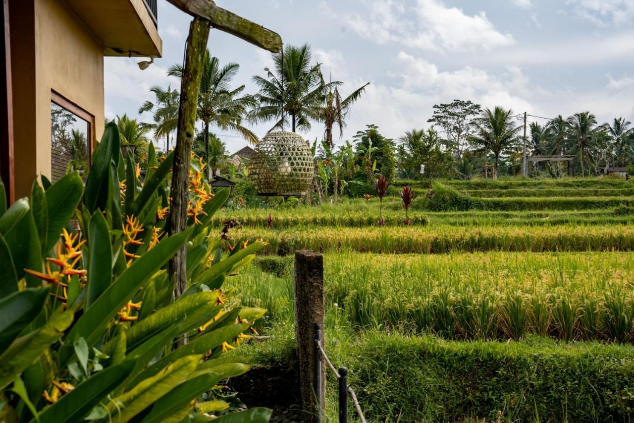 Barong Bali Villas Ubud Exterior foto